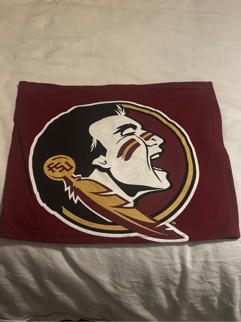 Florida State/FSU - cropped tube top